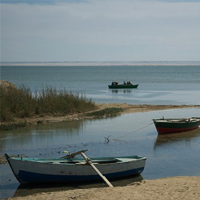 Fayoum Trip